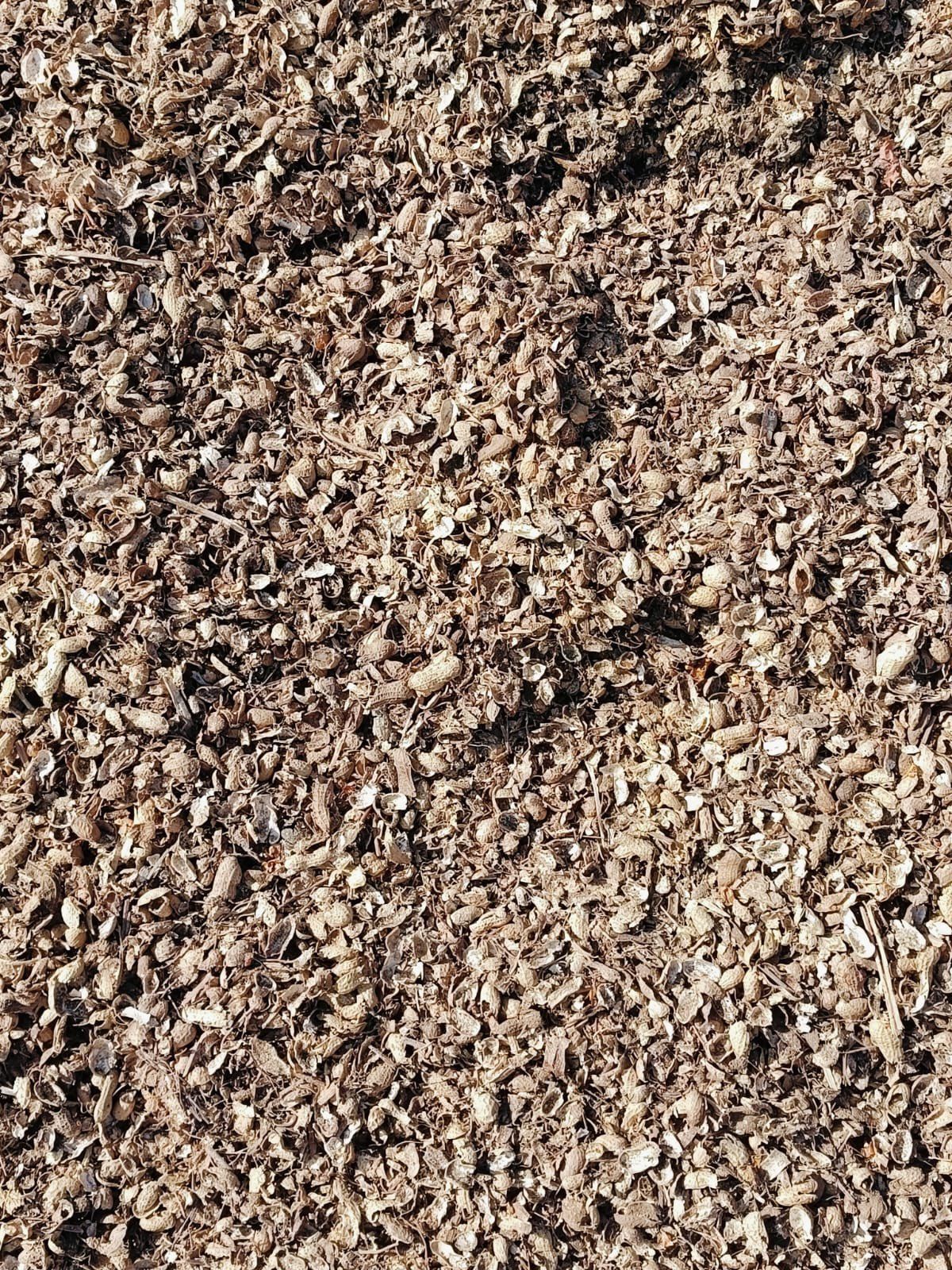 Groundnut (Peanut Shell)